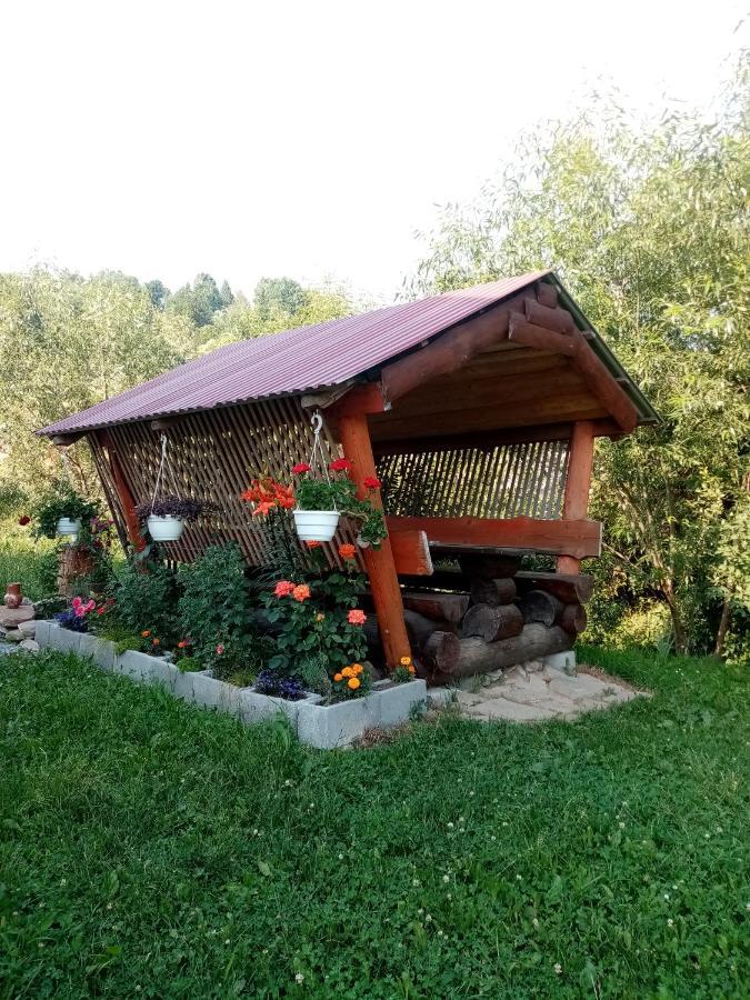 Sadyba Sunny House Pilipets المظهر الخارجي الصورة